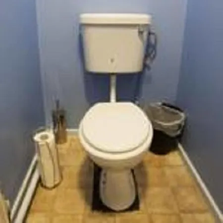 Russell Scott Backpackers - Hostal
